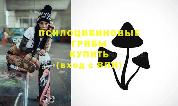 мдпв Новозыбков