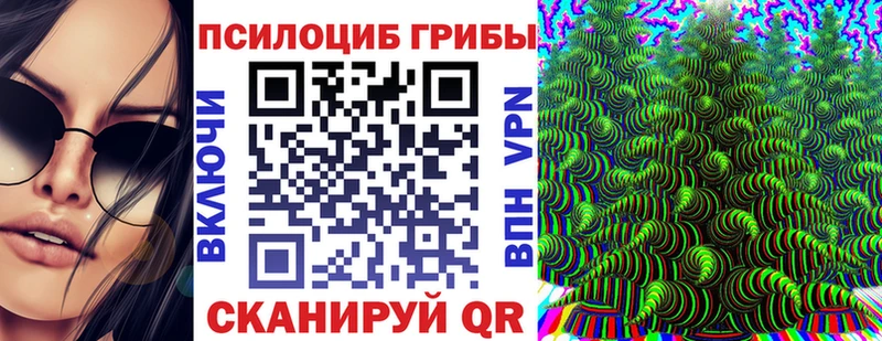 где найти наркотики  Приморско-Ахтарск  Псилоцибиновые грибы GOLDEN TEACHER 